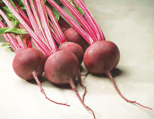 RED ACE Beet