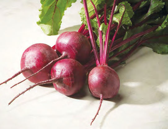 TOUCHSTONE GOLD Beet