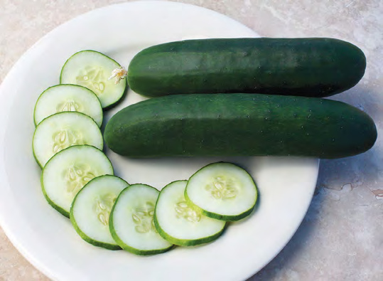 SLICE MORE Cucumber
