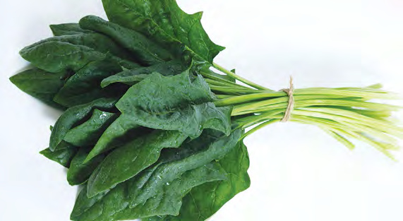 IMPERIAL VALLEY Spinach