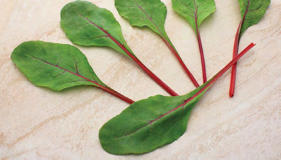 RUBY FRESH Swiss Chard
